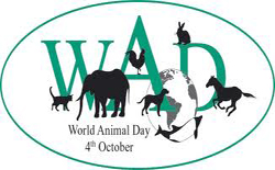 World Animal Day.jpg